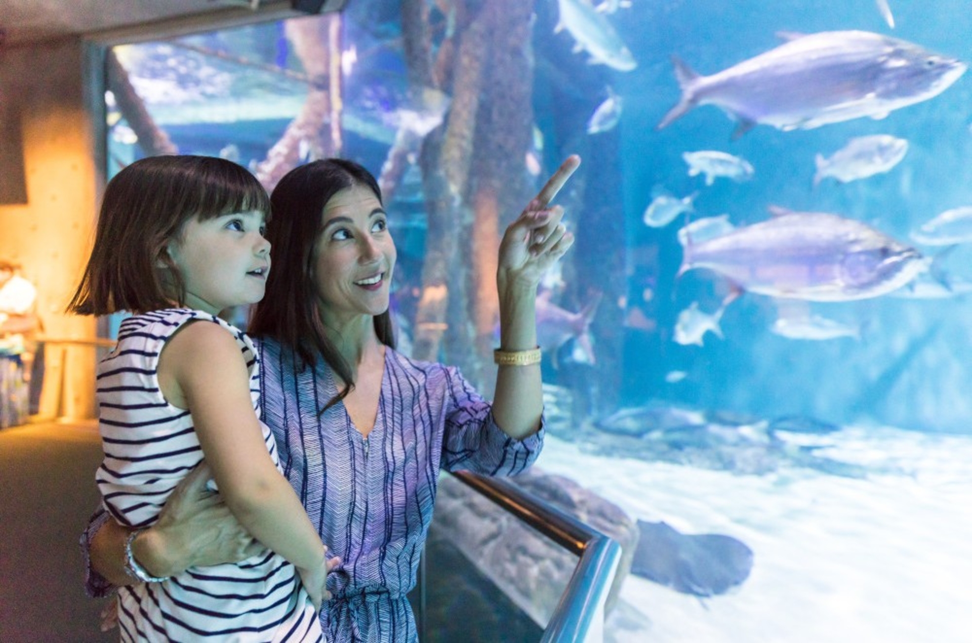 Family at Audubon Aquarium Photo Credit TZack Smith NewOrleans.com