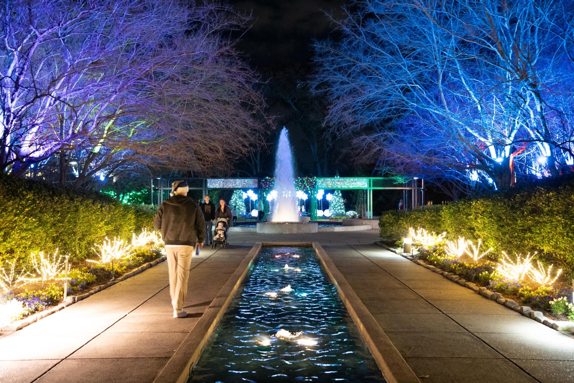 Holiday Wonders at the Garden Julian Harper