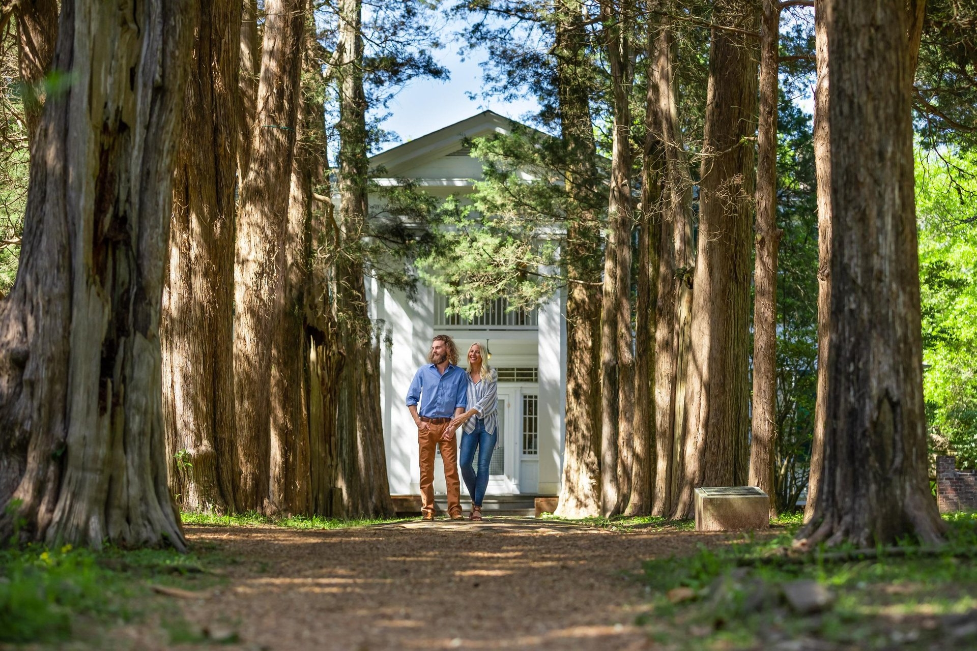 Cedar lined pathway at Rowan Oak, Mississippi