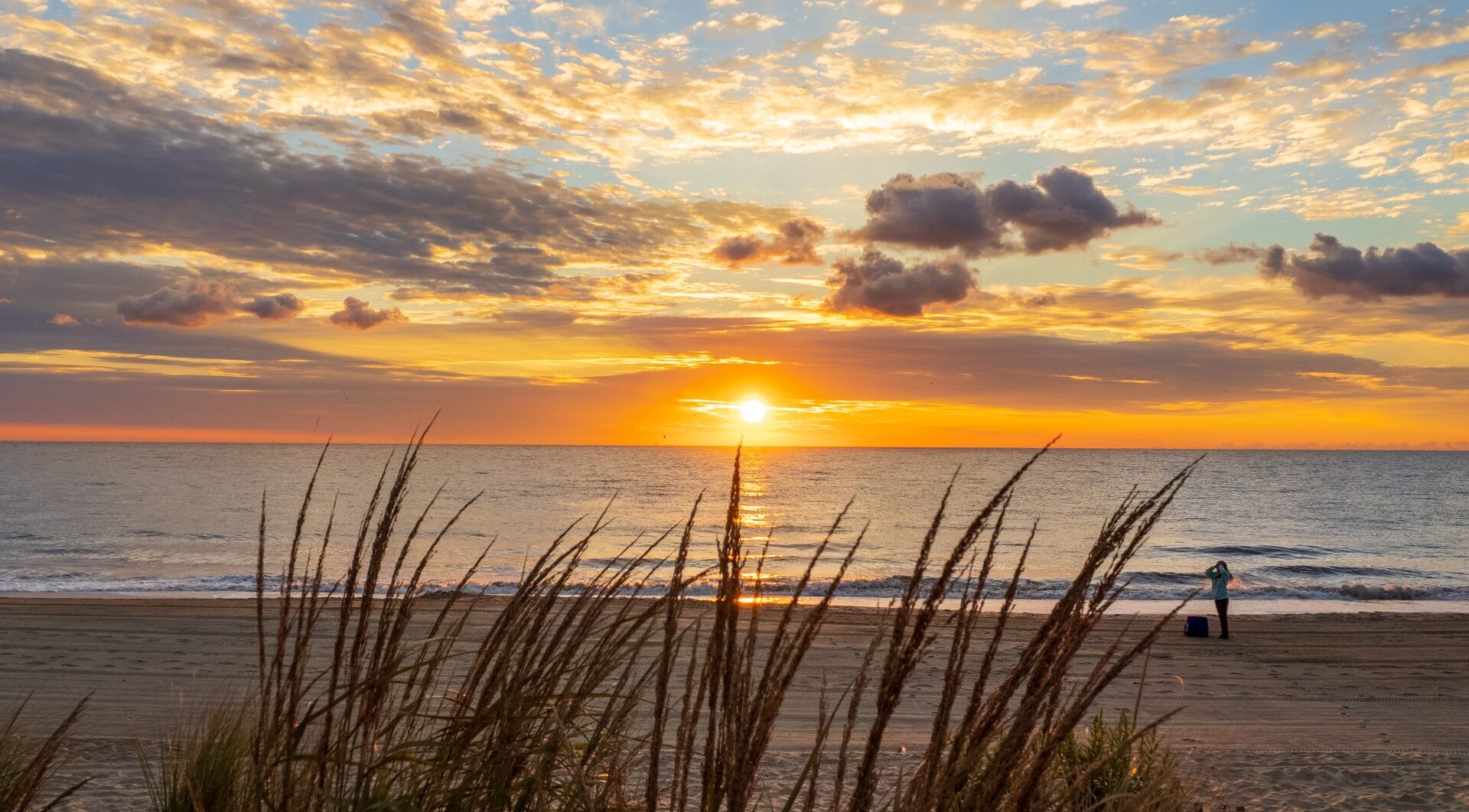 Explore Delaware-Coming Soon