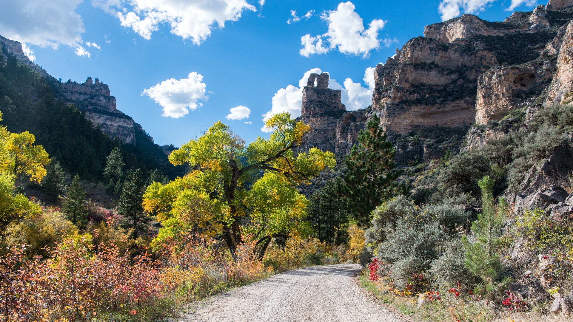Tongue River Canyon in Bighorn National Forest