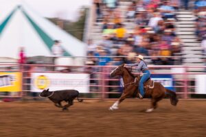 Sheridan WYO Rodeo