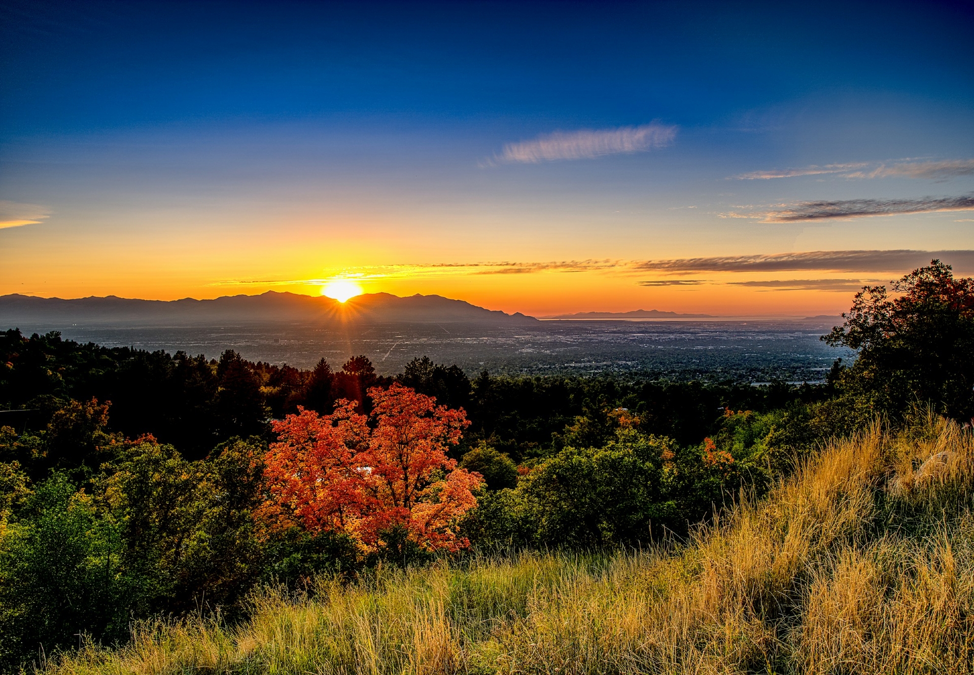 Salt Lake City View from Neffs Canyon Utah Image By michael hart unsplash