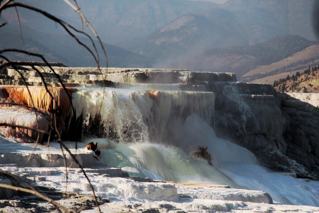 Yellowstone National Park Wyoming Image by timtwisted from Pixabay 1