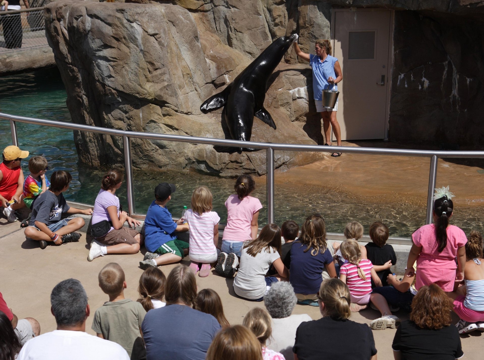 Buffalo Zoo NYS Image By Visit Buffalo Niagara Photo by KC Kratt