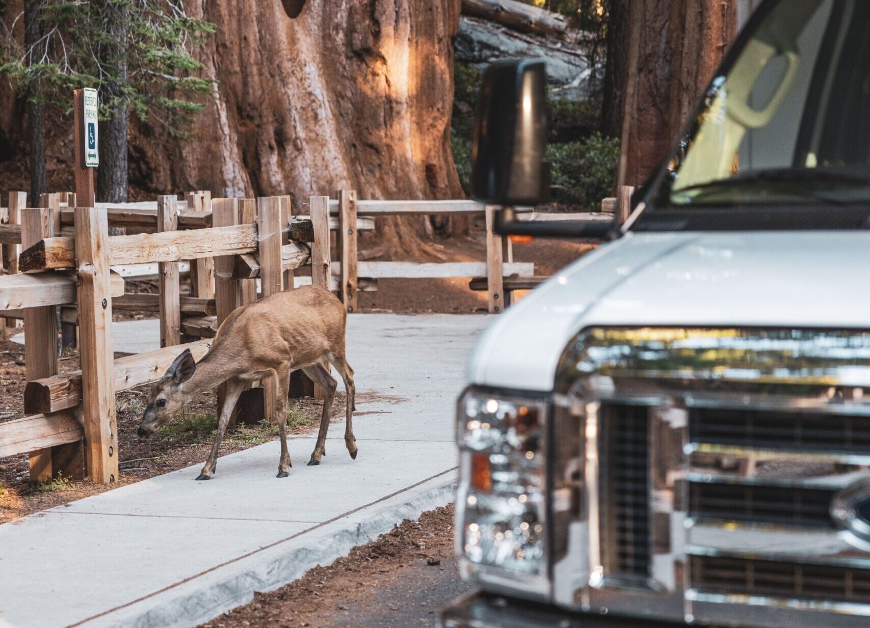 California Image By Cruise America 125A8905 scaled e1749619938949