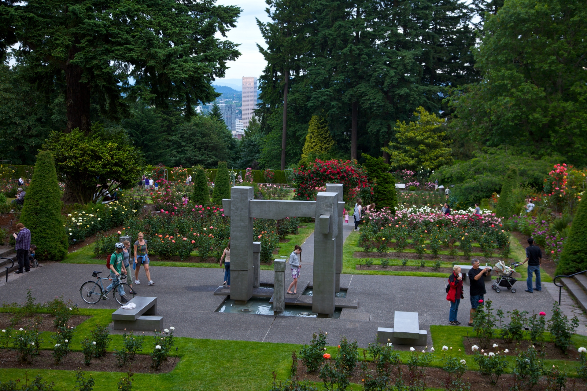 International Rose Test Garden Portland OR Image By Travel Portland