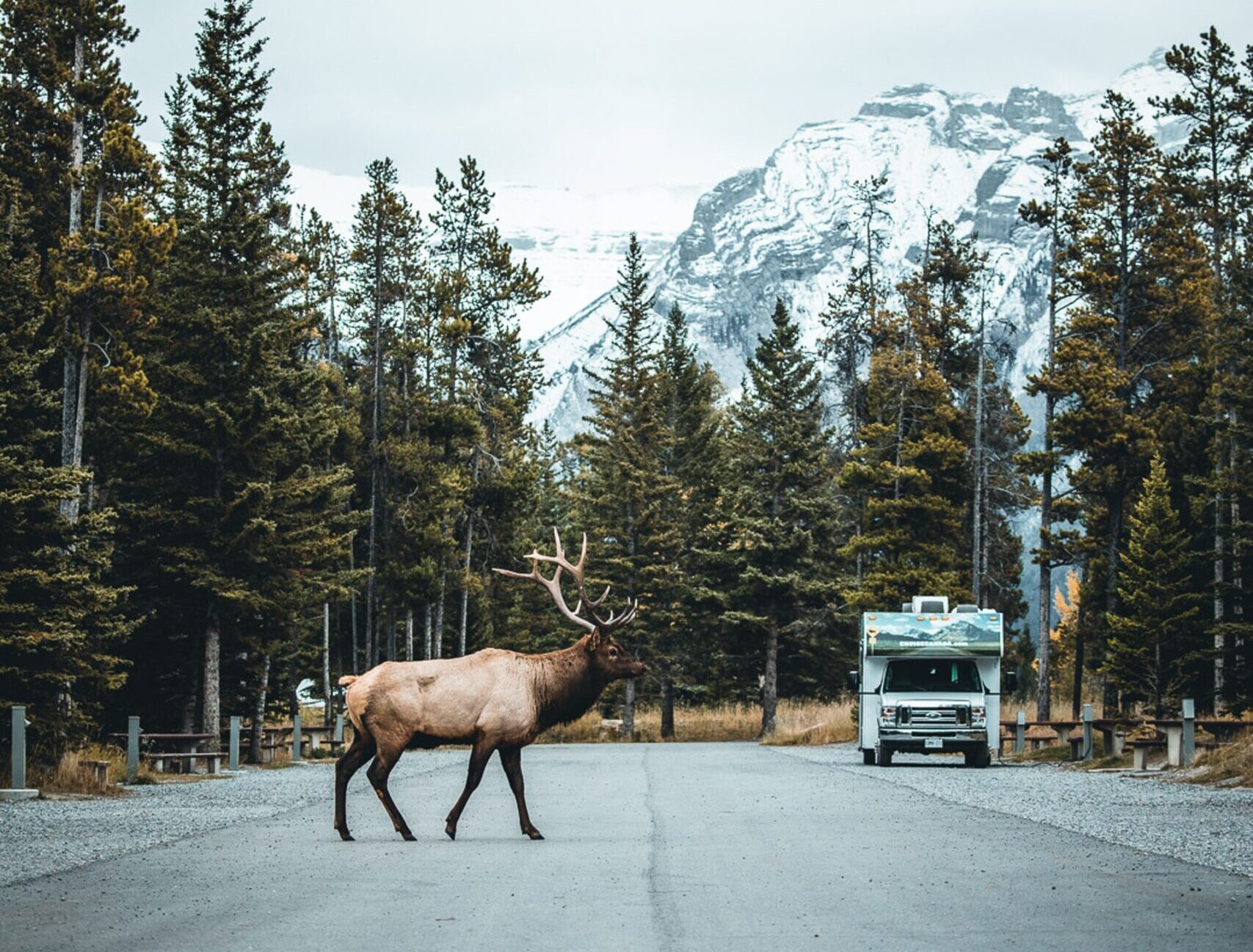 Rocky Mountain High-Coming Soon