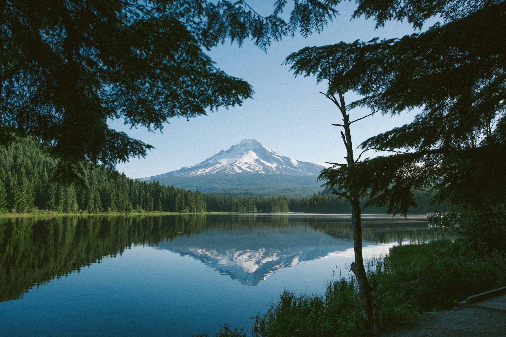 Mt Hood Oregon Image By elijah austin unsplash