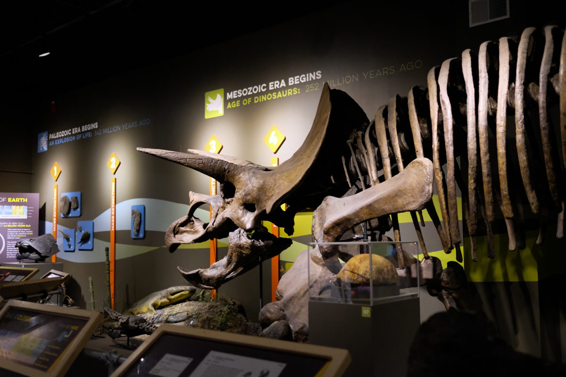 RethinkExtinct01 Buffalo Museum of Science Image by Visit Buffalo Niagara Photo by Erica Eichelkraut Zilbauer