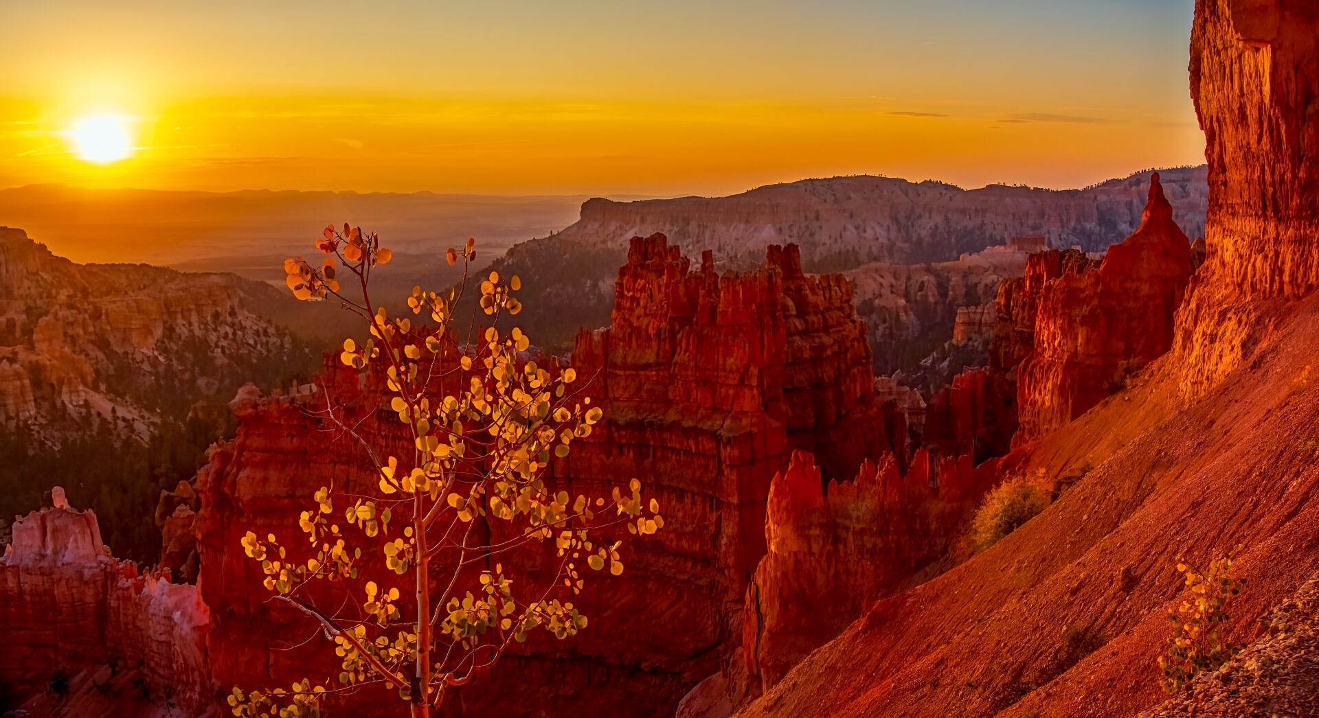 bryce canyon stan 12.jpg Image by Austin Adventures e1748923237126