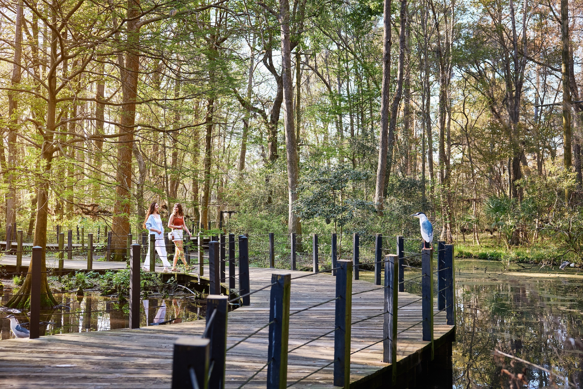 Brookgreen Lowcountry Zoo Photot Credit Visit Myrtle Beach