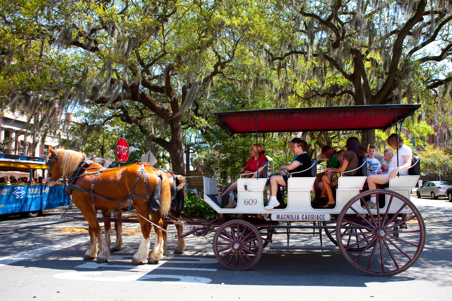 Group on Horse Carriage Ride Credit Visit Savannah