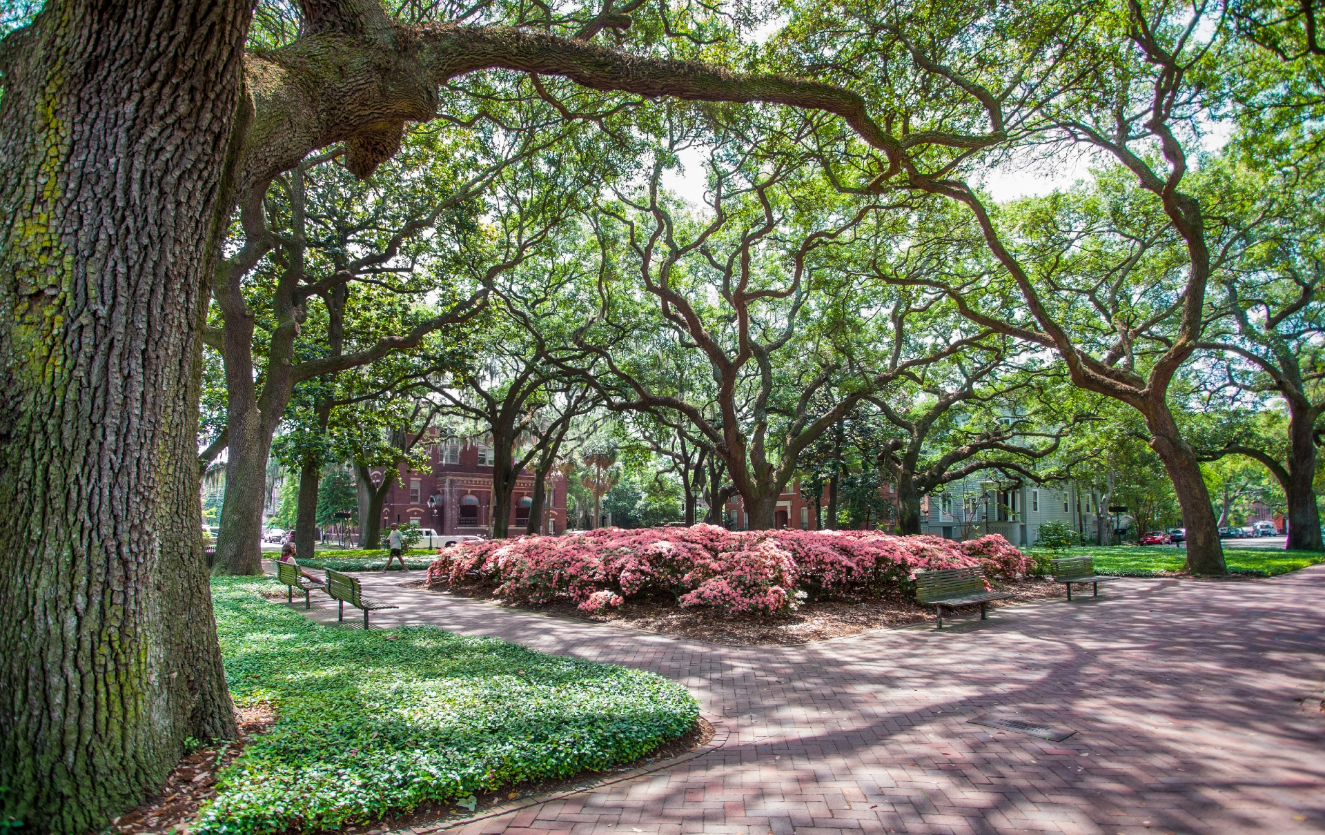 Pulaski Square Credit Visit Savannah
