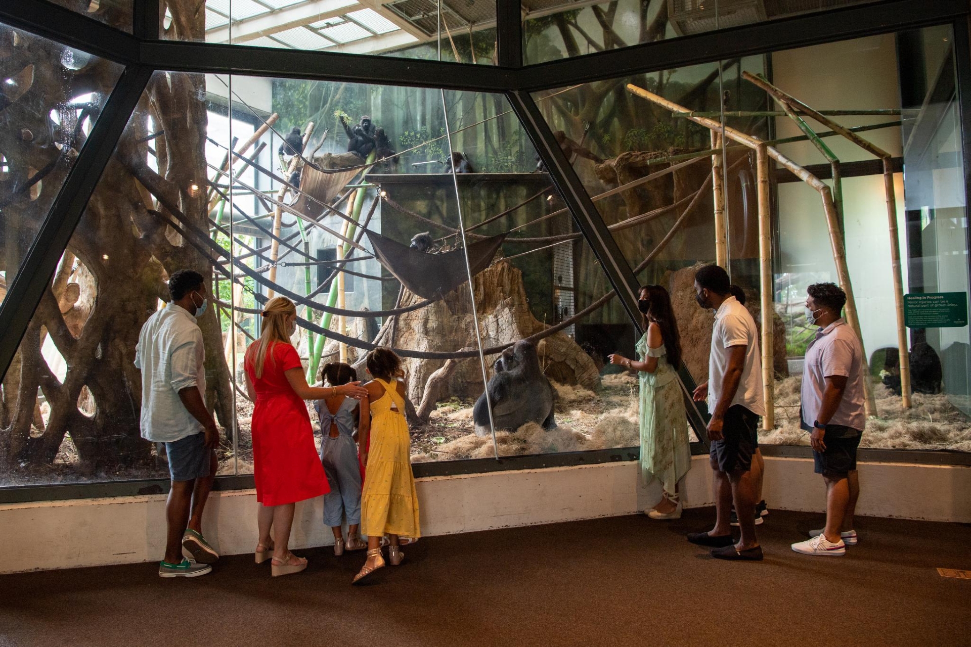 Lincoln Park Zoo Photo Credit Abel Arciniega Choose Chicago