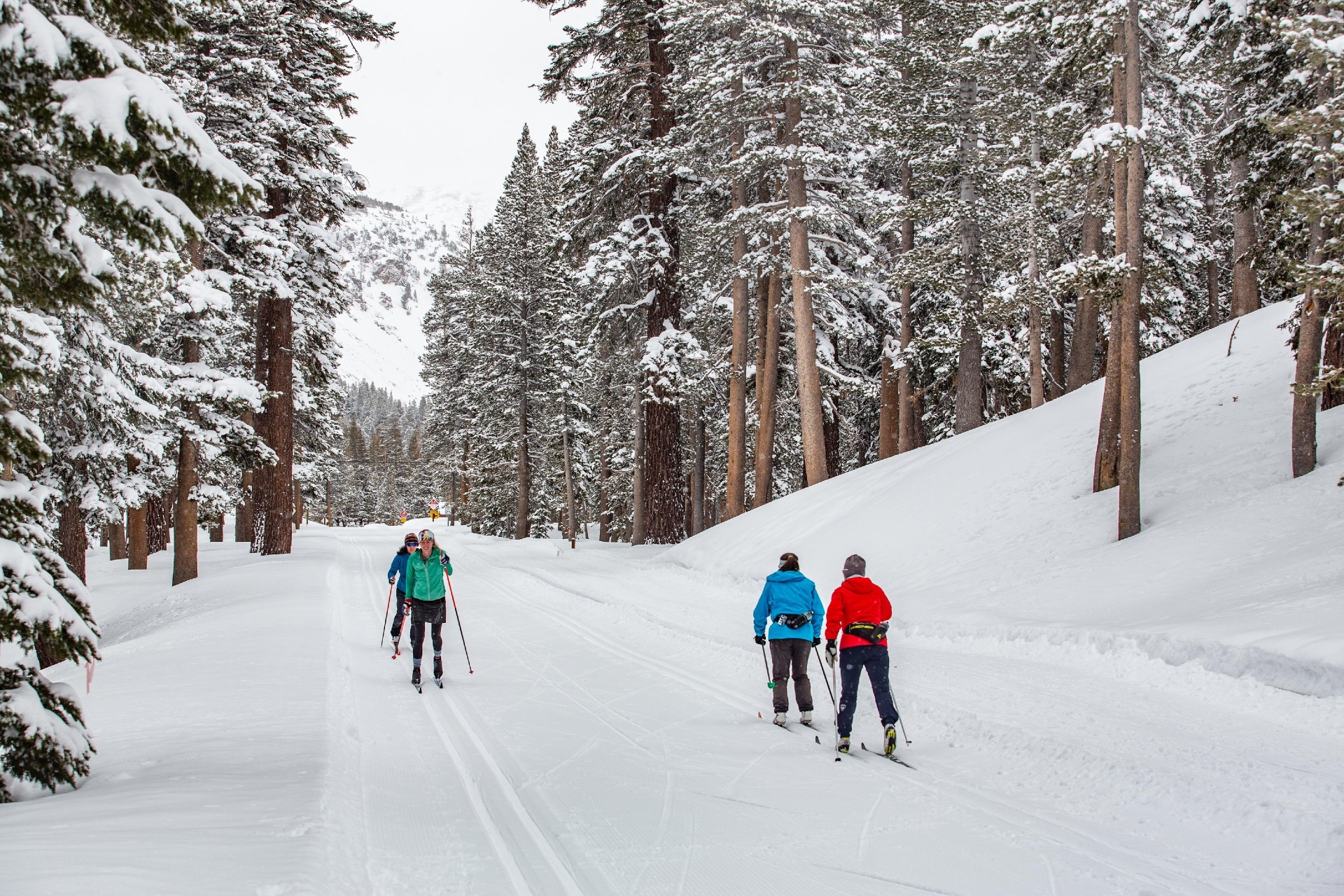 Cross Country Skiing at Mammoth CA Image by Dakota Snider Mammoth Lakes Tourism