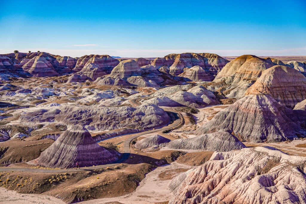 Holbrook Petrified Forest Credit Arizona Office of Tourism 1
