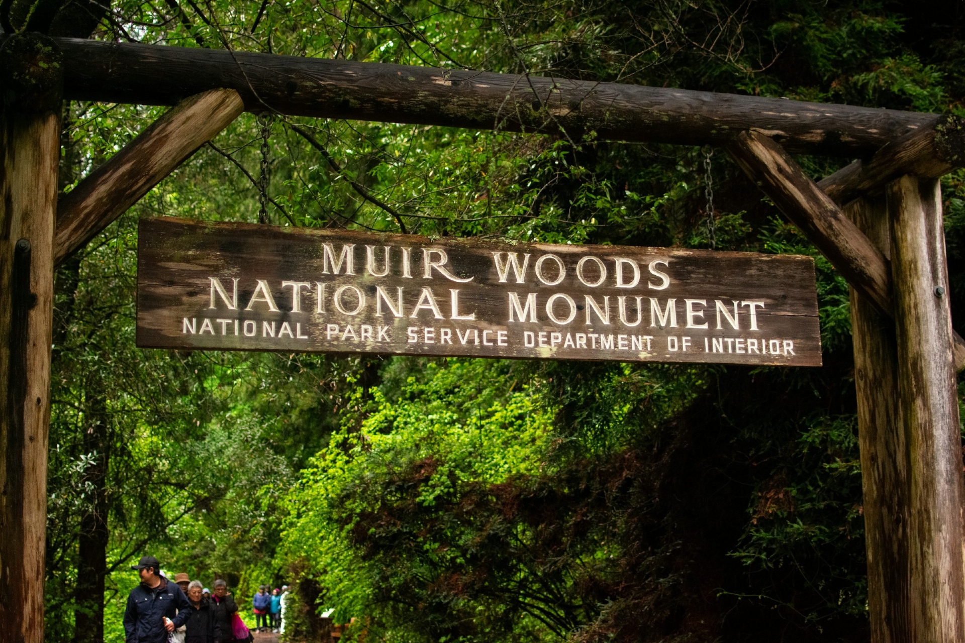 Muir Woods Entry Sign San Francisco CA Image By juliana uribbe unsplash