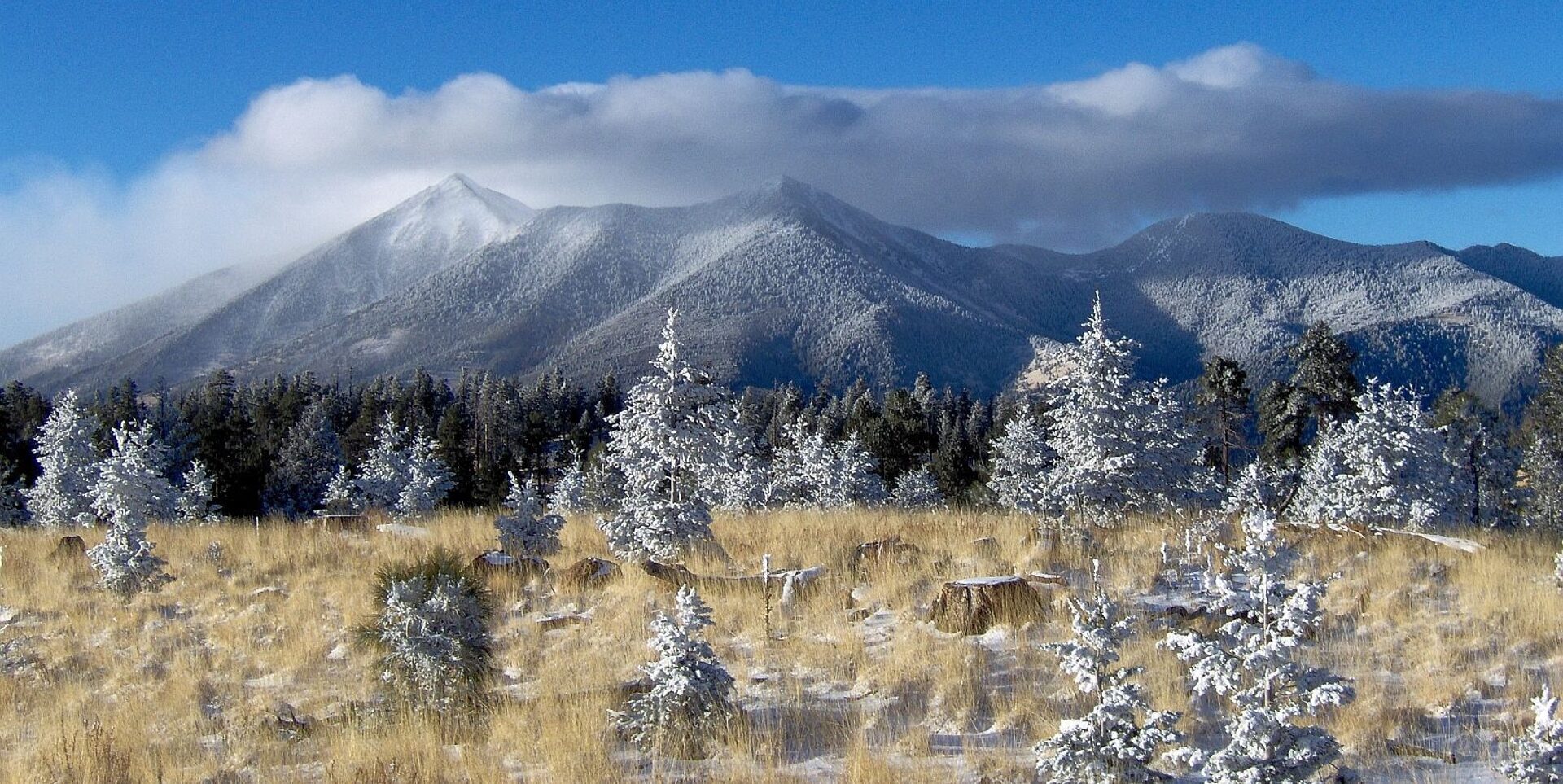 San Francisco Peaks in winter including Mt Humphreys the highest point in Arizona just Nth of Flagstaff Image By Discover Flagstaff Credit Tyler Finvold e1781672139354