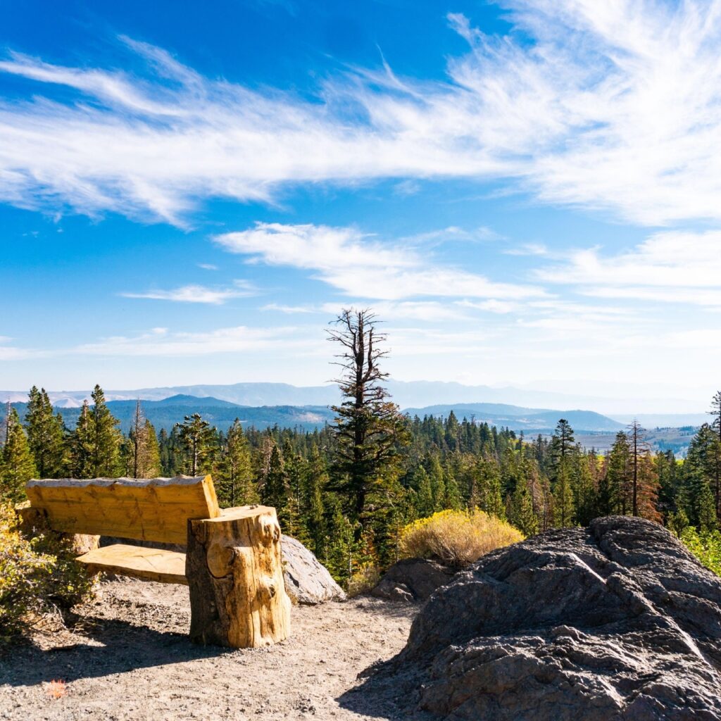 Summer Old Mammoth Bench Image by Josh Wray Mammoth Lakes Tourism e1758847504351