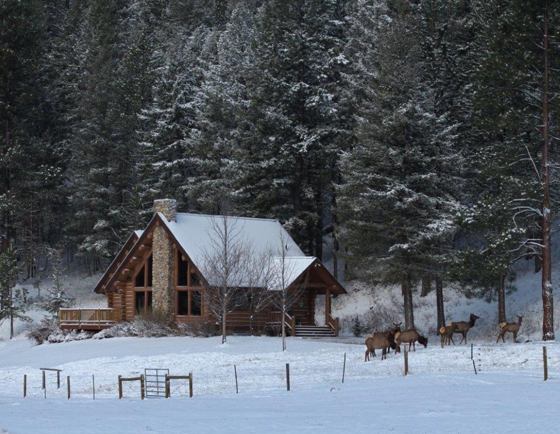 Triple Creek Ranch CABIN Suite Stage Stop A