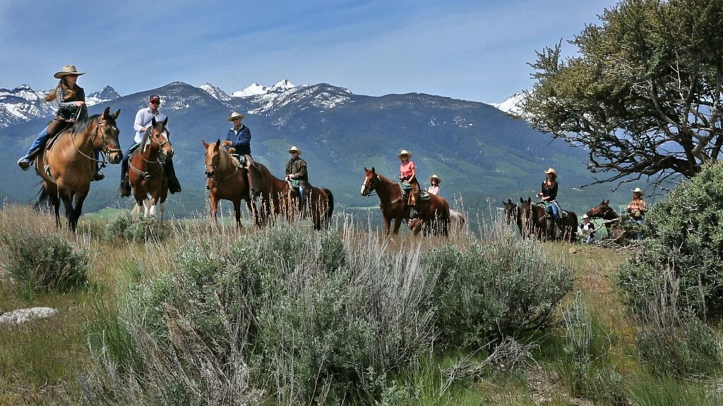 Triple Creek Ranch HORSE13