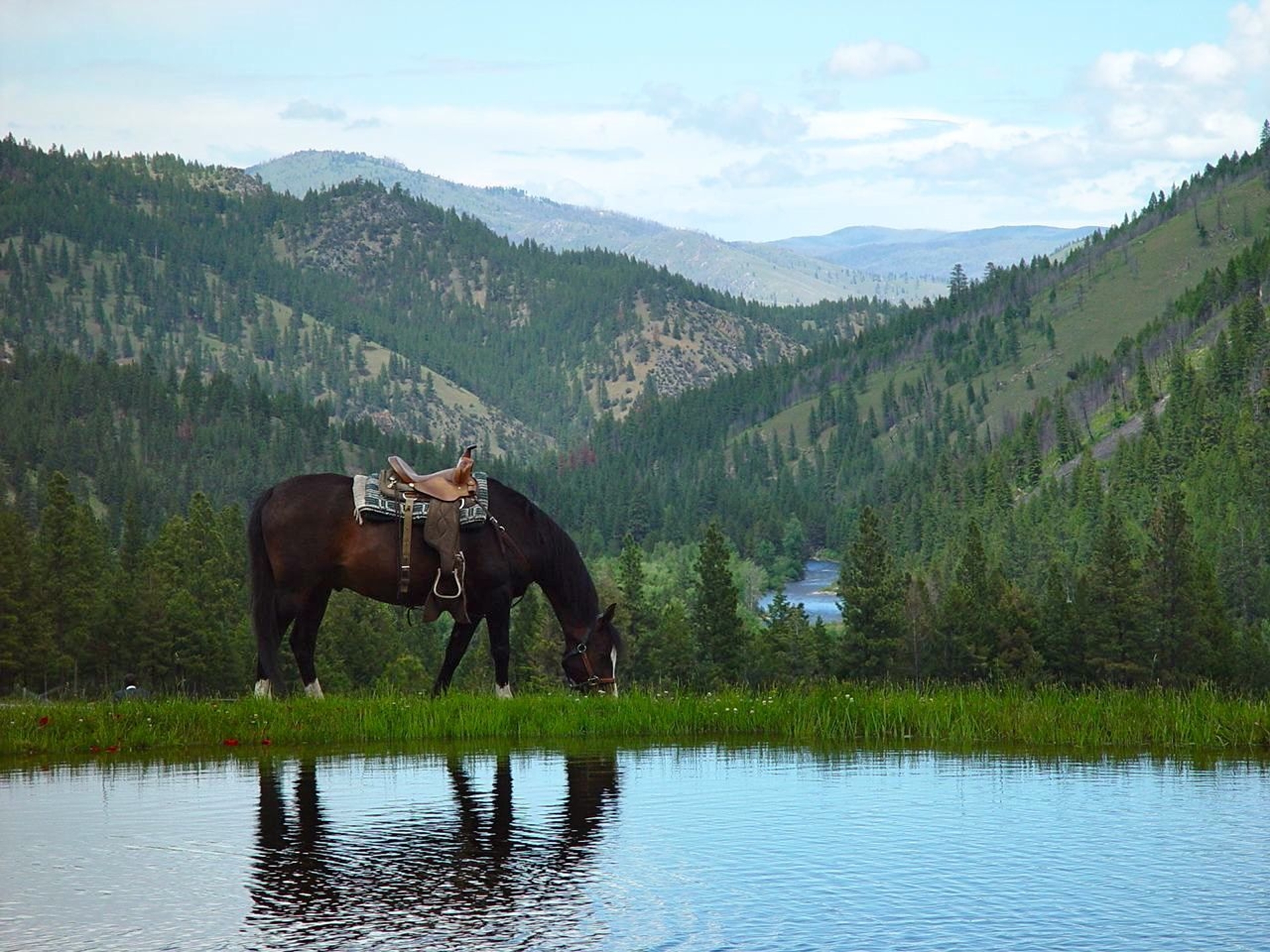 Triple Creek Ranch SCENERY14