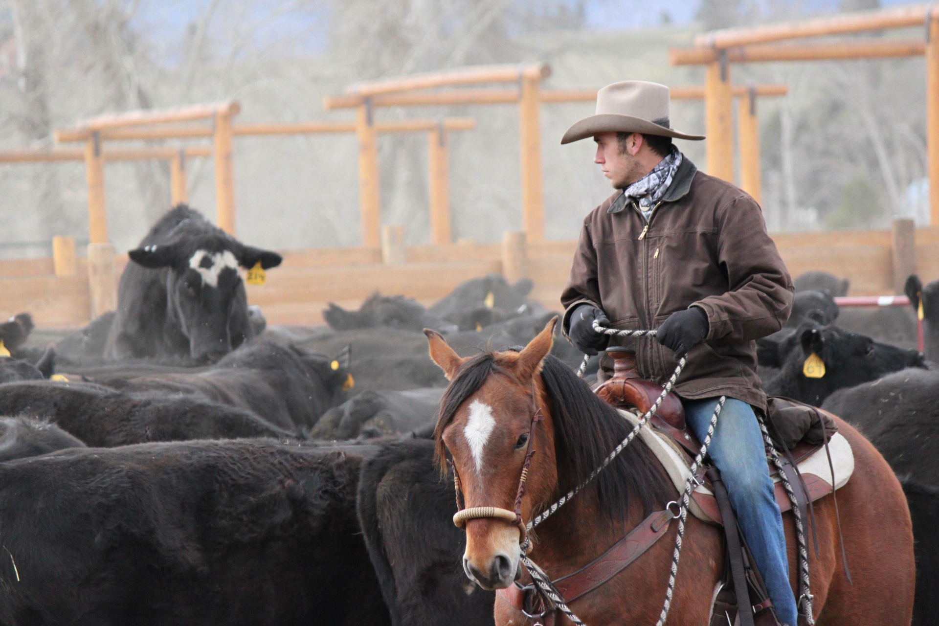 Triple Creek Ranch SPRINGROUNDUP06