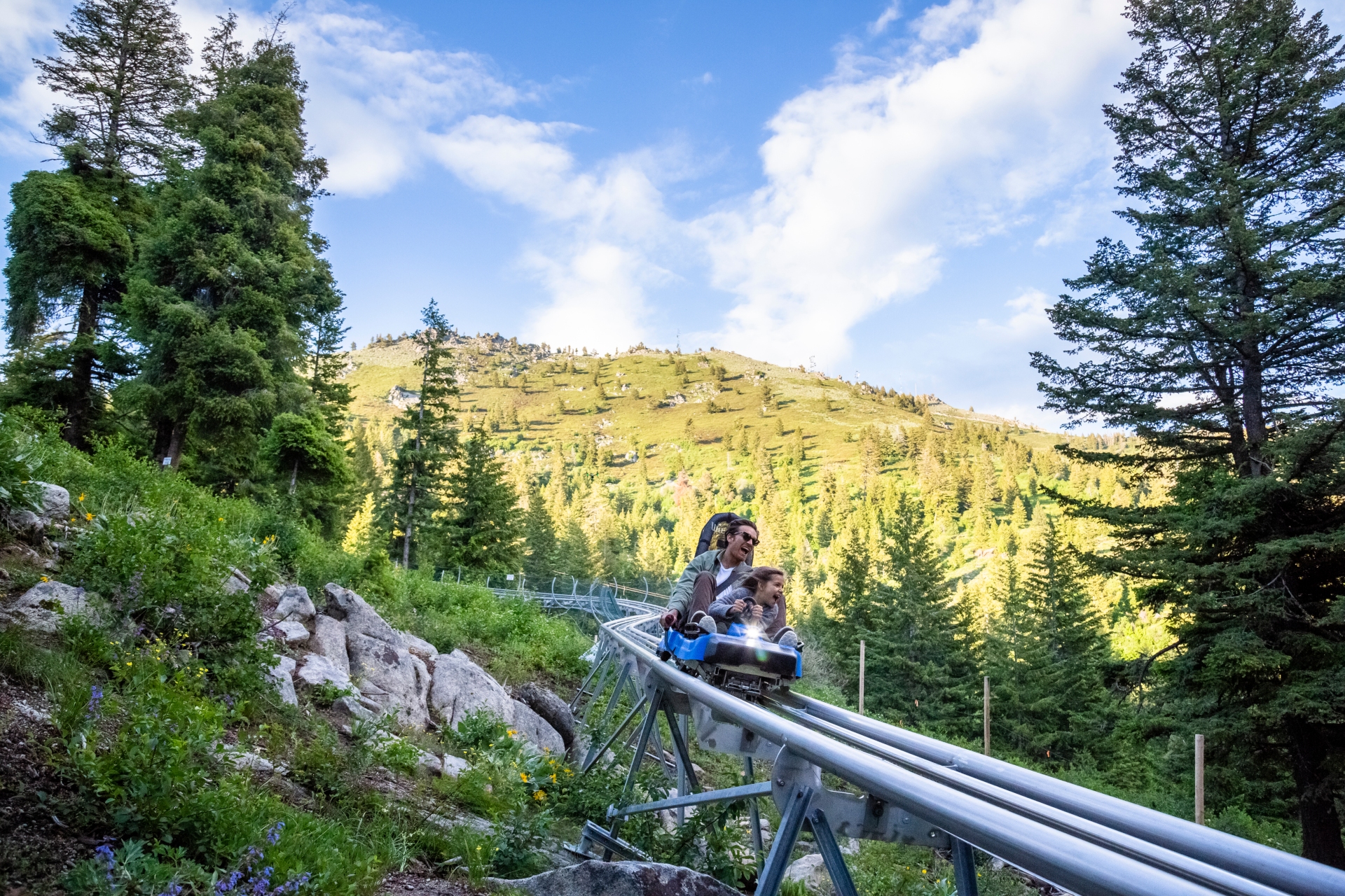 Glade Runner Mountain Coaster Bogus Mountain Recreation Area near Boise Idaho Image by Visit Idaho