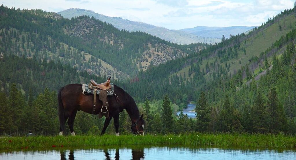 Triple Creek Ranch SCENERY14 e1762048374554