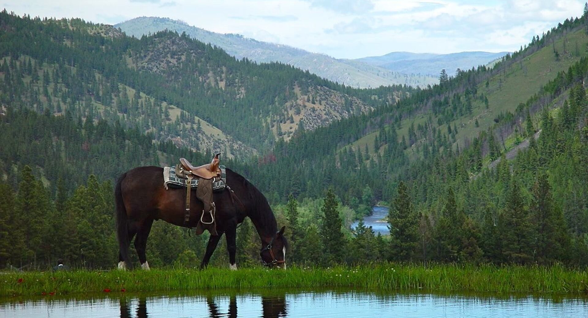 Triple Creek Ranch SCENERY14 e1762048374554
