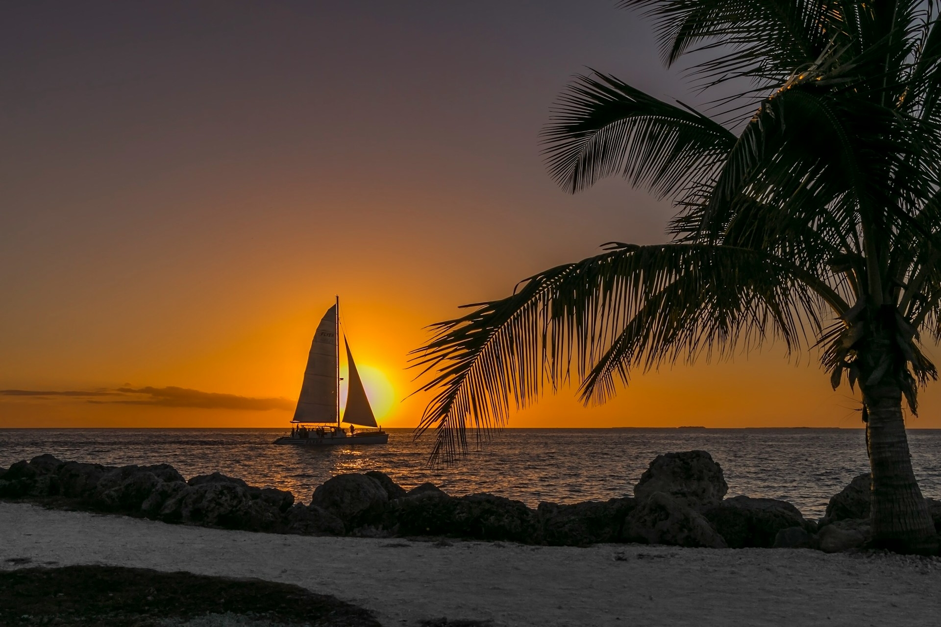 A serene sunset at the beach with a sailboat gliding past, framed by a silhouette of a palm tree and rocks.