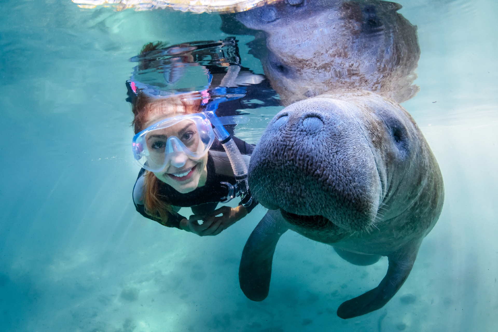 A snorkeler shares a cheerful underwater encounter with a curious and friendly manatee.