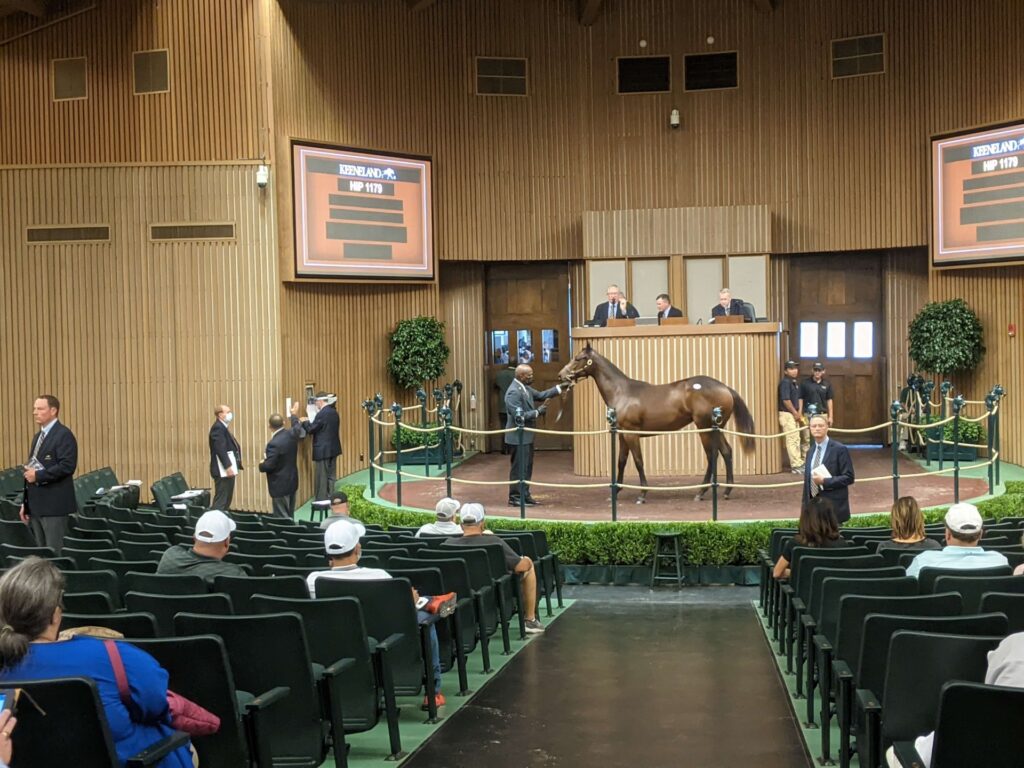 Keeneland 4 sale barn Image Team Kentucky Tourism 1