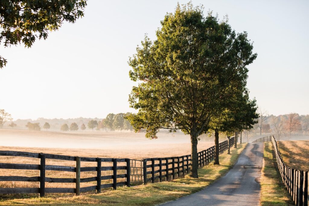 Lexington Kentucky 0X9A3221 Image by VisitLEX Photo by Mary Jane Speer