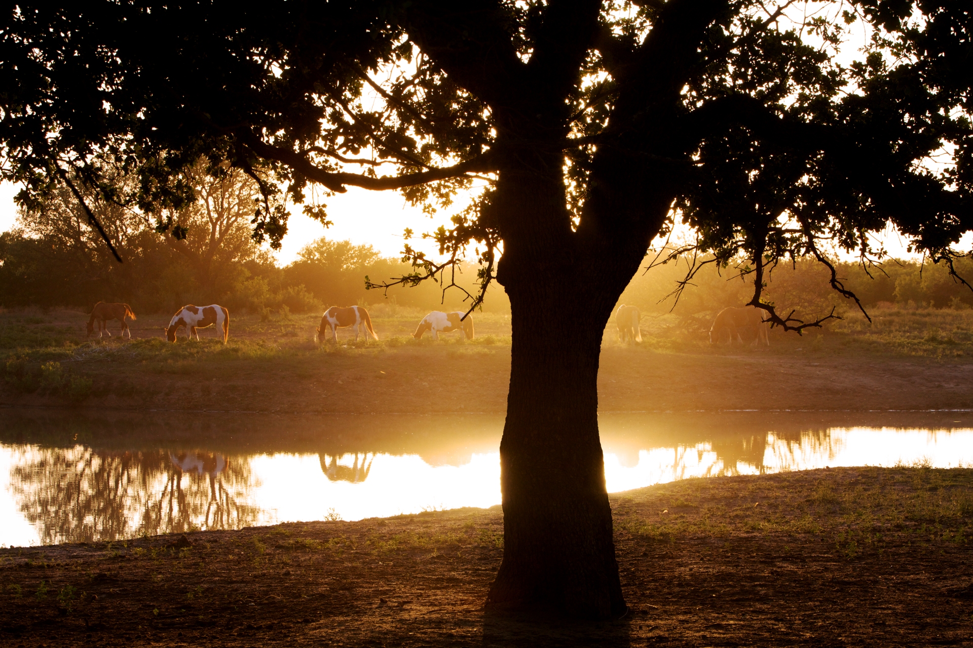 WR 1YZ Wildcatter Ranch TX Image By Rocky Mountain Holidays