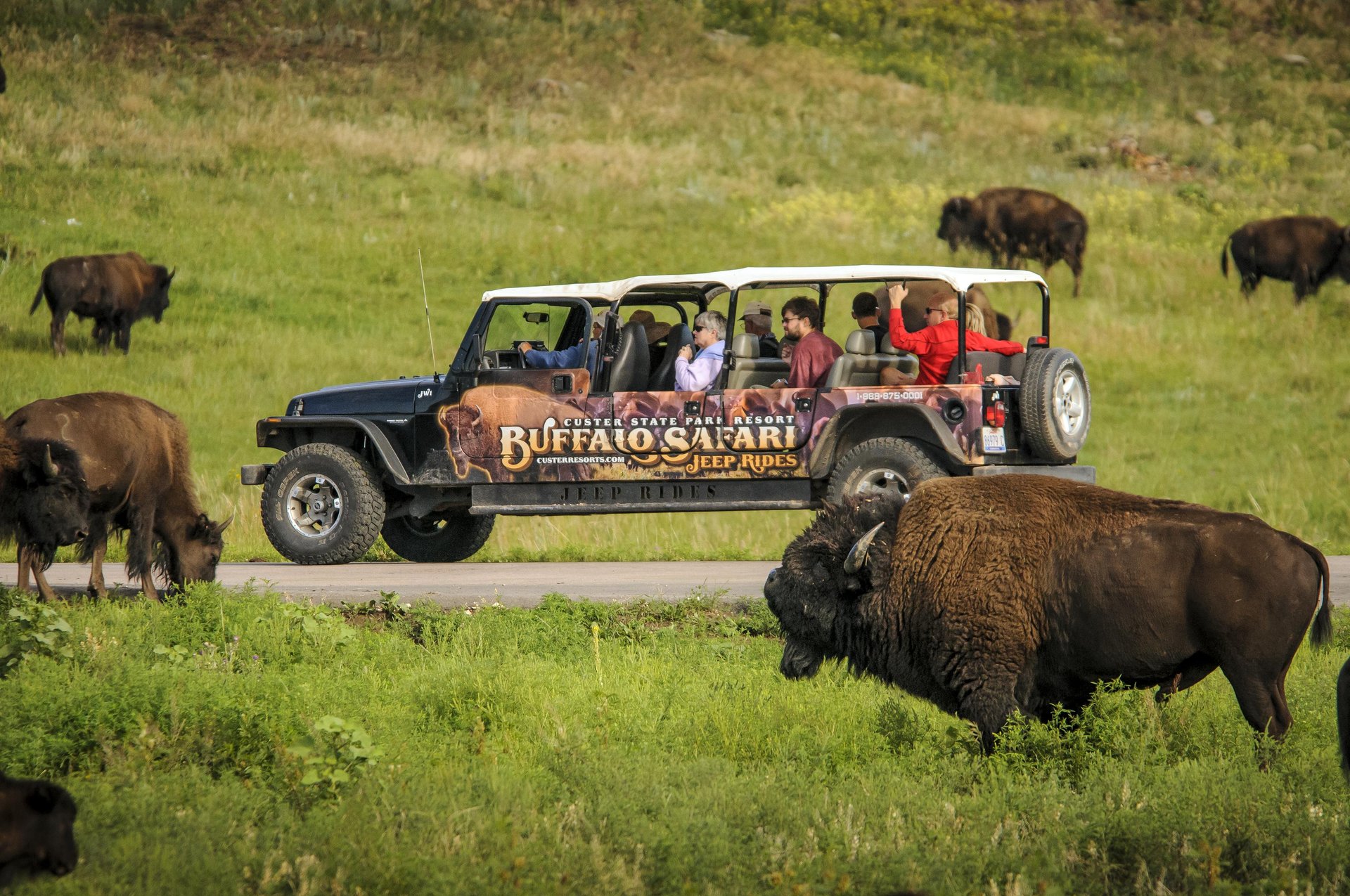 Custer State Park Jeep Rides Credit Chad Coppess Travel South Dakota