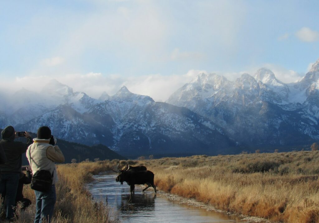 Grand Tetons in Jackson Hole Wyoming judy beth morris unsplash e1770931560526