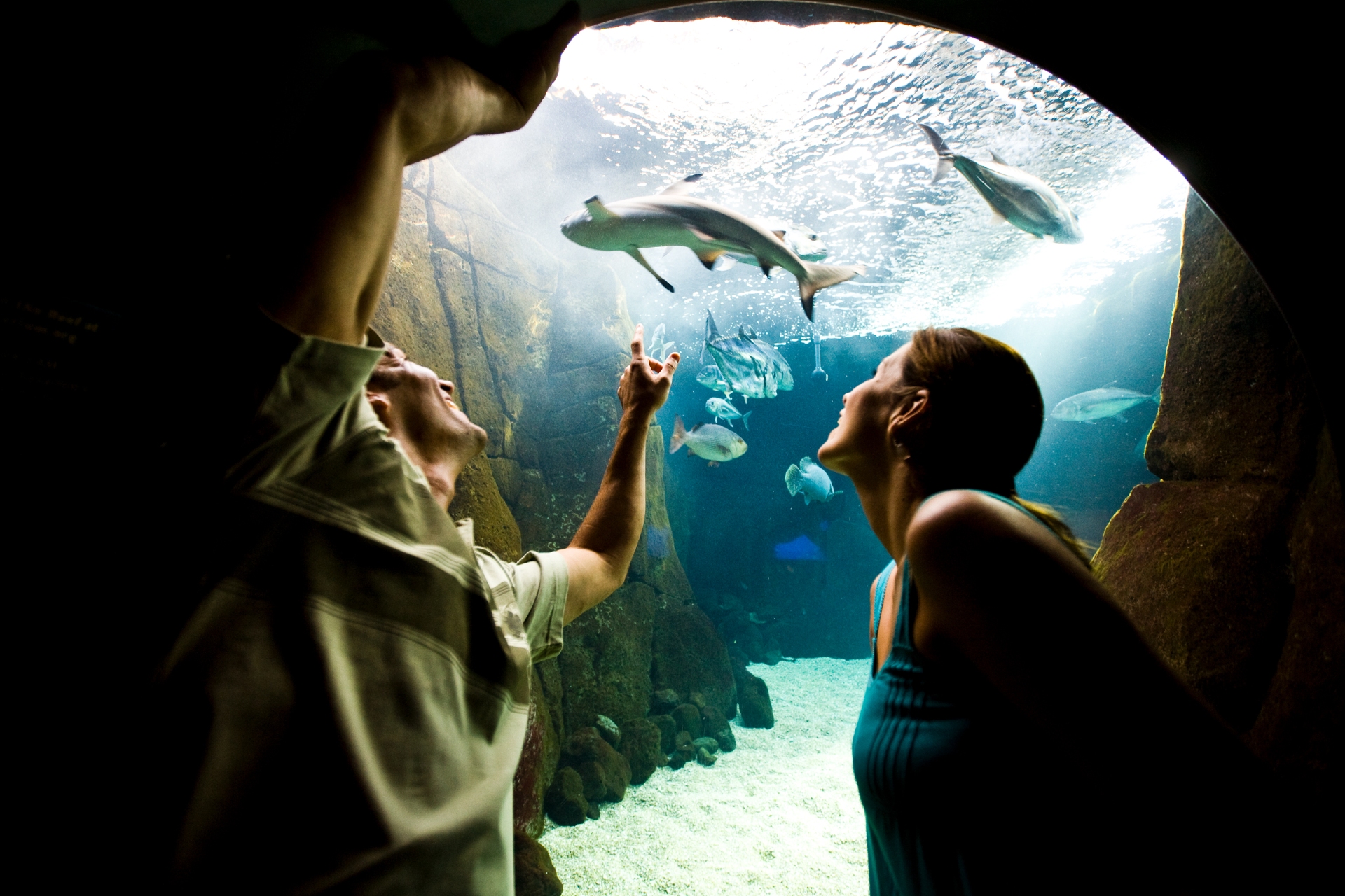 Aquarium Waikiki Photo Courtesy of Hawaii Tourism Authority Tor Johnson 1