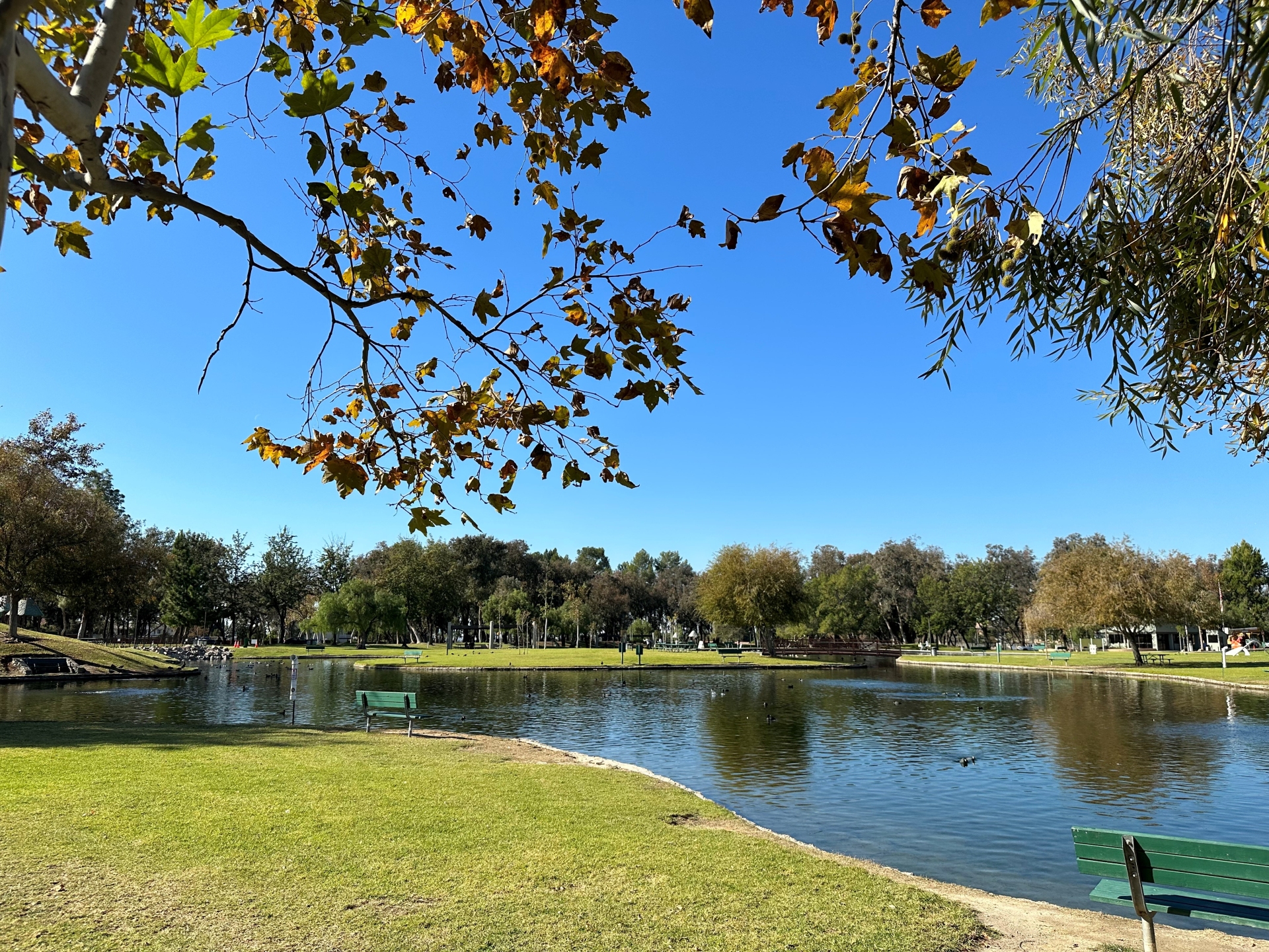 Ralph B. Clark Park Lake Image By Visit Buena Park