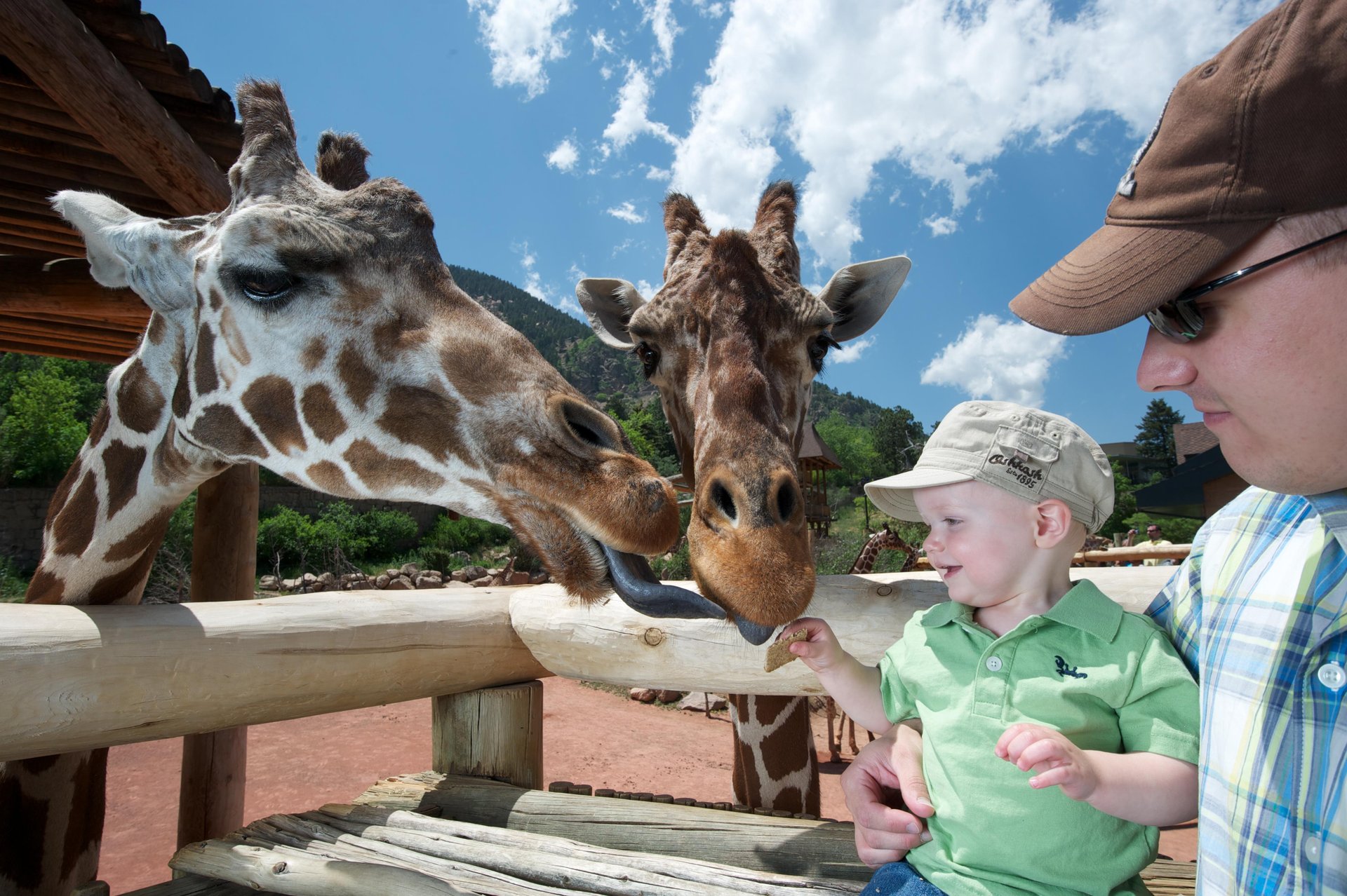 Cheyenne Mountain Zoo Photo Courtesy of Visit Colorado Springs