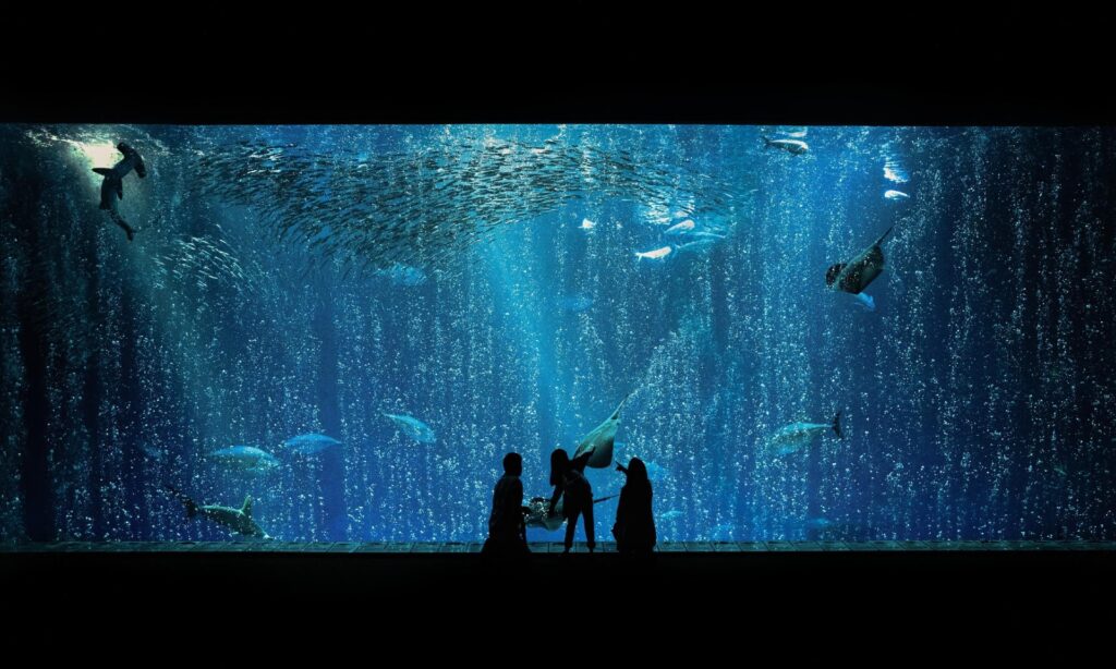 Monterey Bay Aquarium 2 CA Image By See Monterey copy