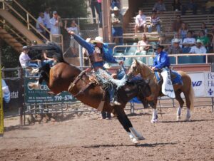 Rodeo Pikes Peak or Bust Rodeo Photo Courtesy of Visit Colorado Springs