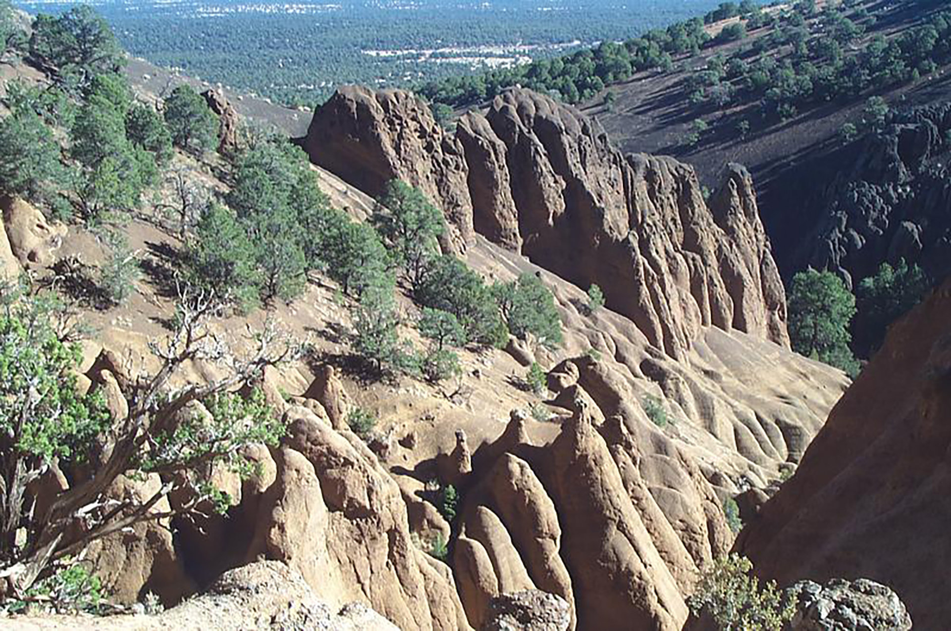 Red Mountain Credit Discover Flagstaff result