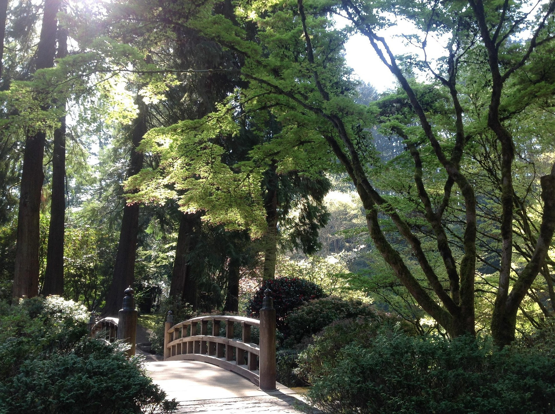 Japanese Gardens Portland Orgeon Image by Photocallie from
