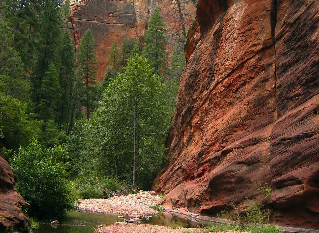 Oak Creek Canyon 2 Flagstaff AZ Image By Discover Flagstaff result 1 e1783139090504