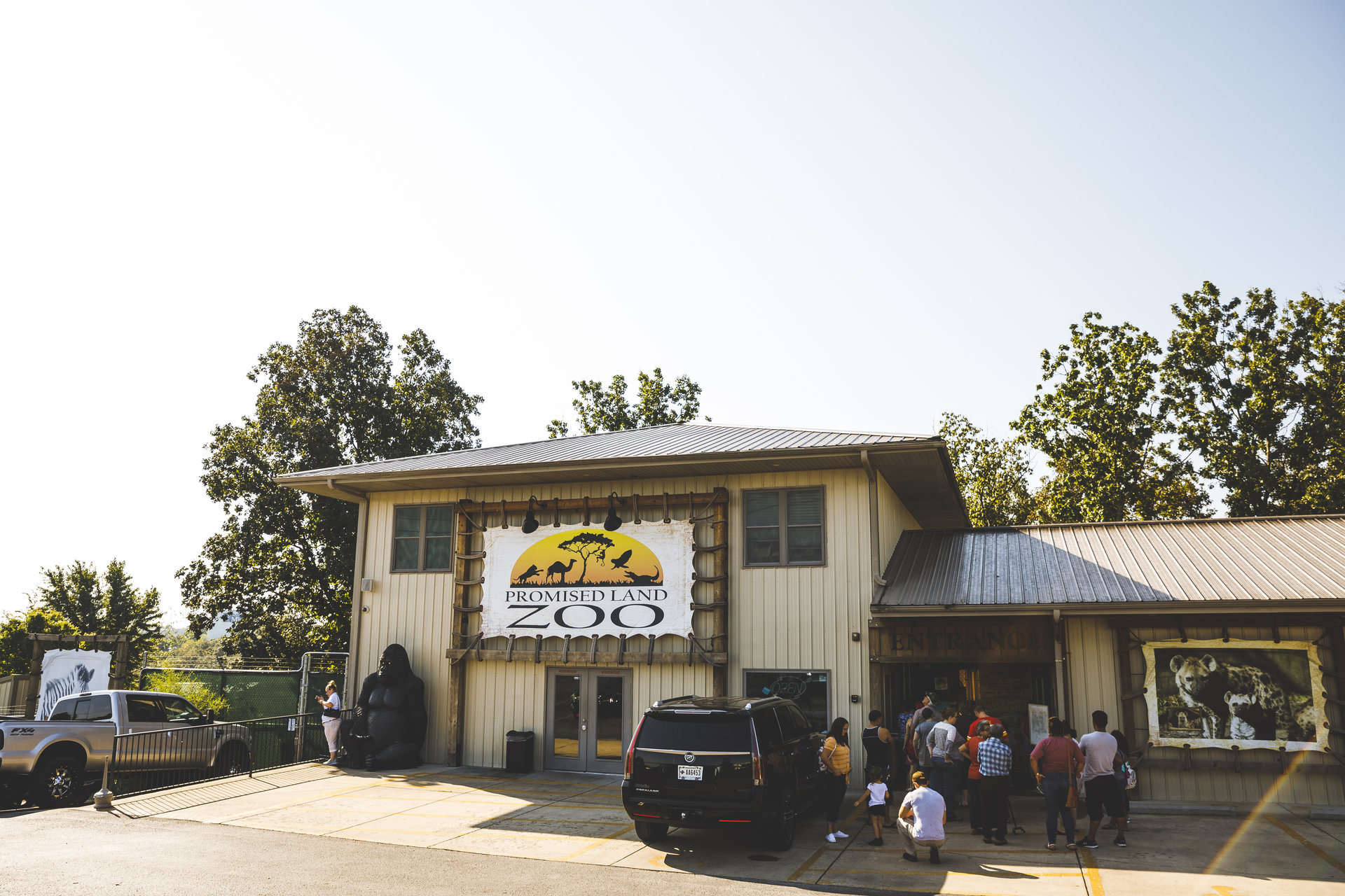 The Promised Zoo Branson MI Image By Visit Branson result