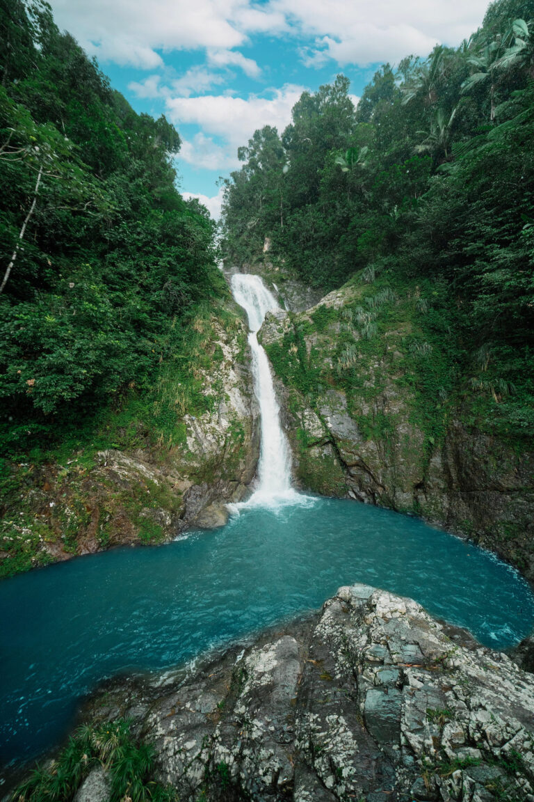 Toro Negro State Forest Ciales Courtesy Discover Puerto Rico result