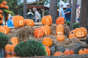 harvest festival at silver dollar city branson mo image by branson convention vistors bureau result