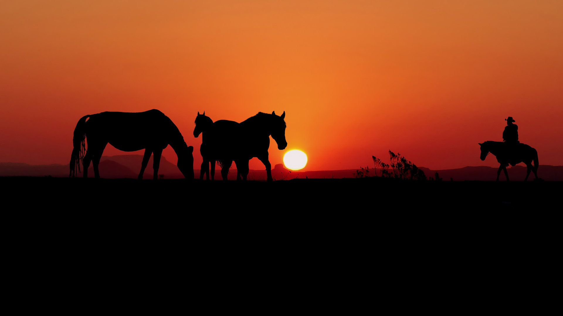 texas sunset 2 image by rene ruschenberger